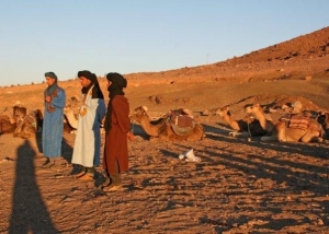 Wüsten Tour